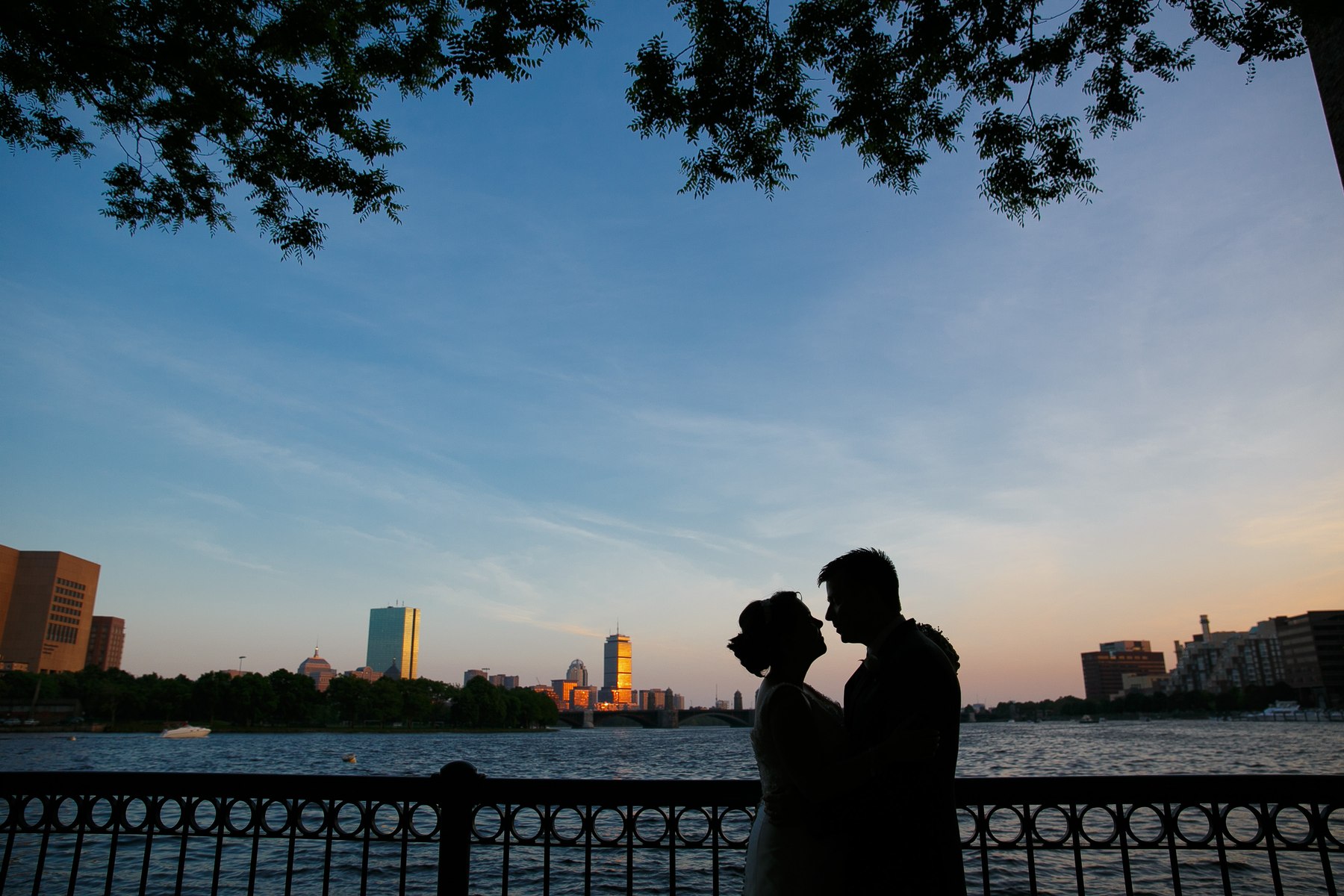 Museum of Science wedding Boston skyline